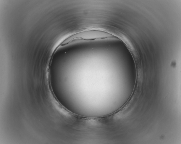 X0000091660814200709061019