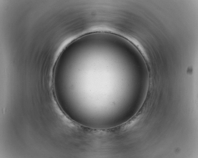 X0000091660815200709061019