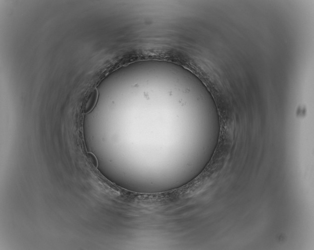 X0000091660817200709061018