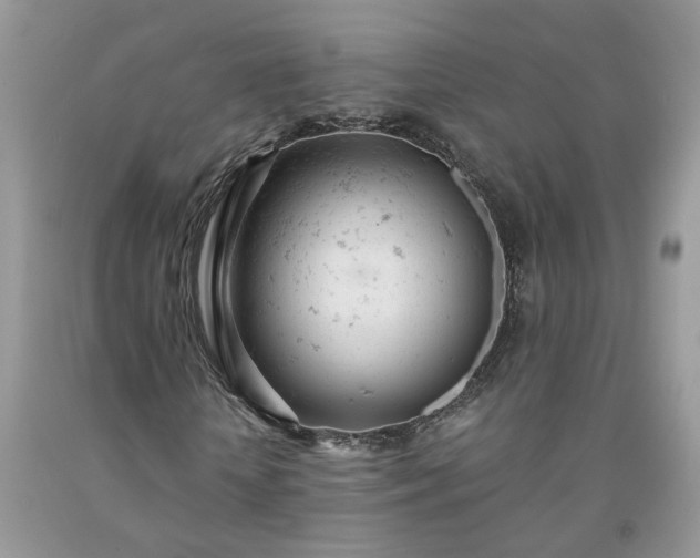 X0000091660818200709061018