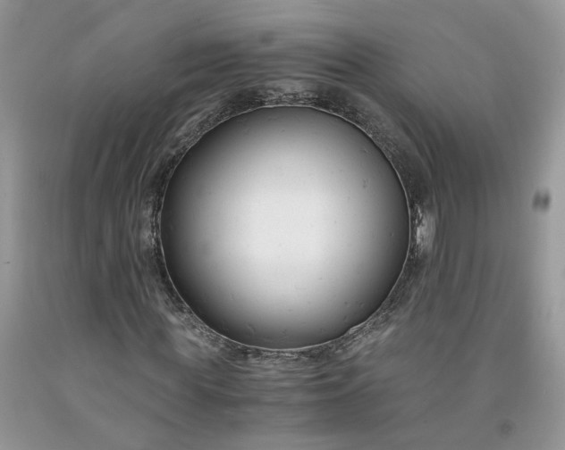 X0000091660819200709061018