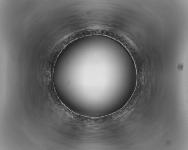 X0000091660821200709061018