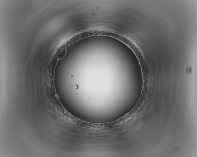 X0000091660823200709061018