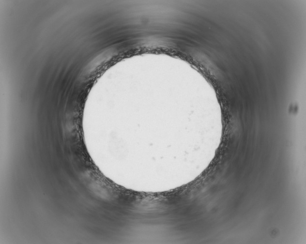 X0000091660824200709061018