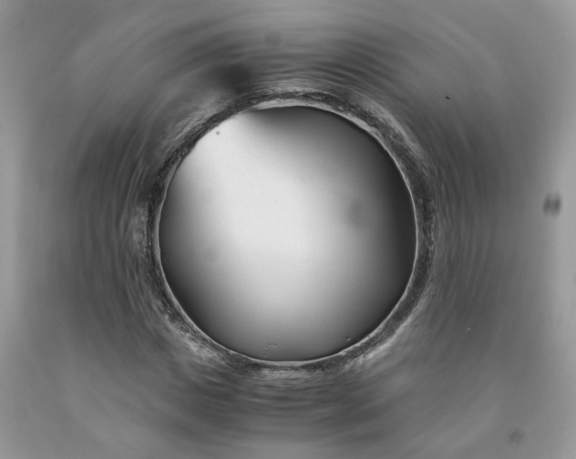 X0000091660825200709061018