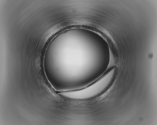 X0000091660826200709061018