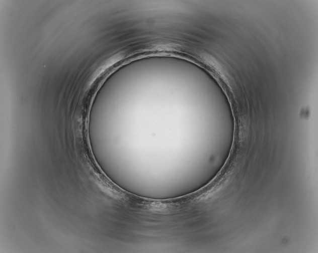 X0000091660827200709061018