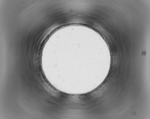 X0000091660828200709061018