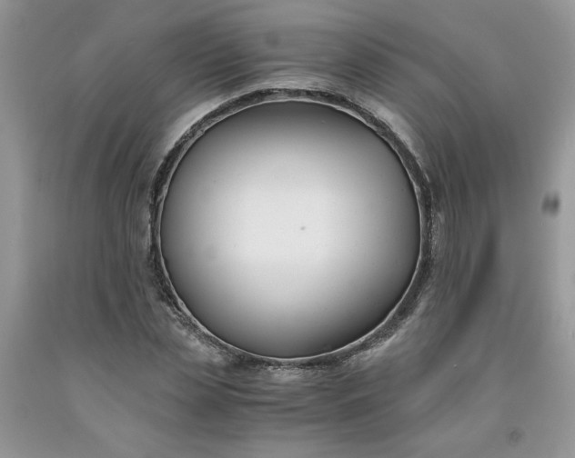 X0000091660829200709061018