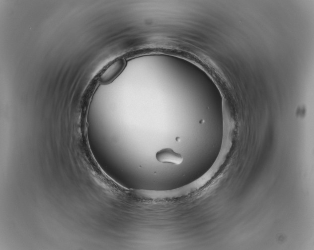 X0000091660830200709061018