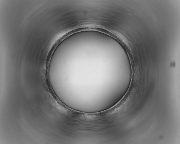 X0000091660831200709061019