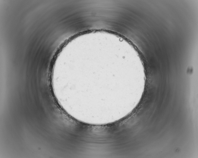 X0000091660832200709061019