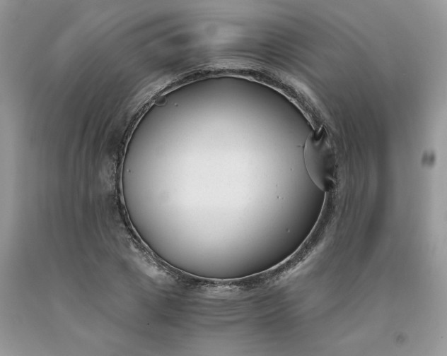 X0000091660833200709061019