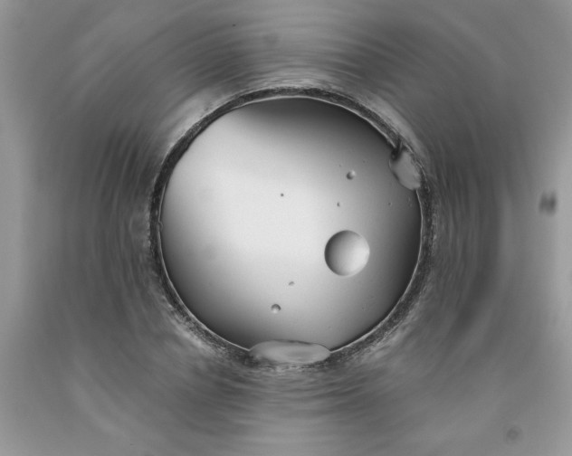 X0000091660834200709061019