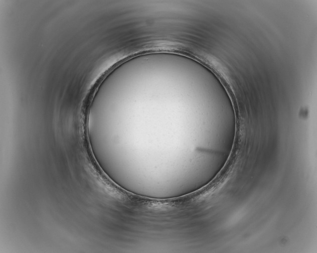 X0000091660835200709061019