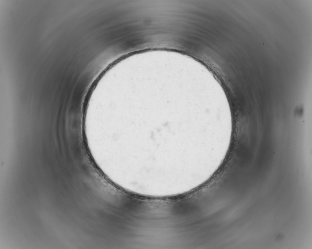 X0000091660836200709061019