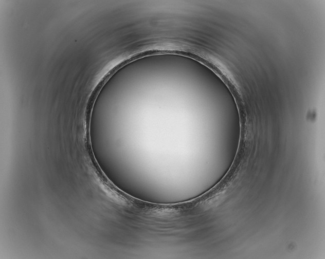 X0000091660837200709061019