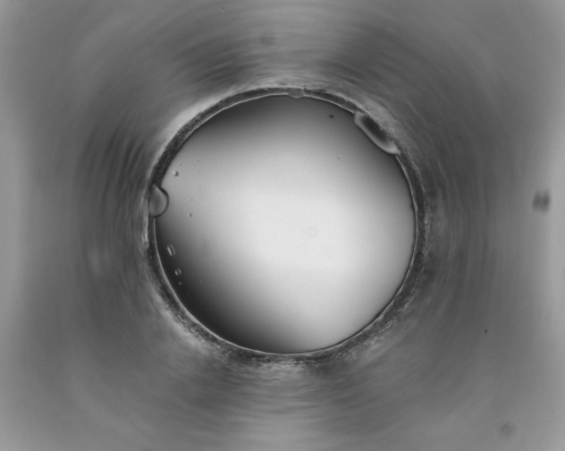 X0000091660838200709061019