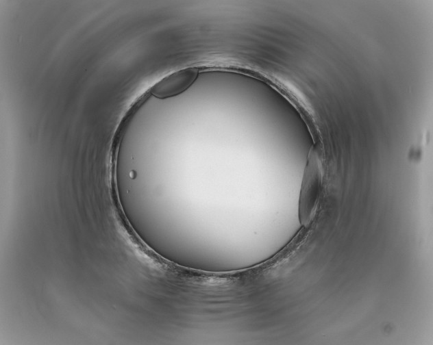 X0000091660839200709061019