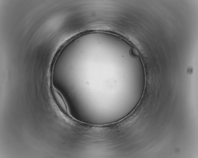 X0000091660840200709061019