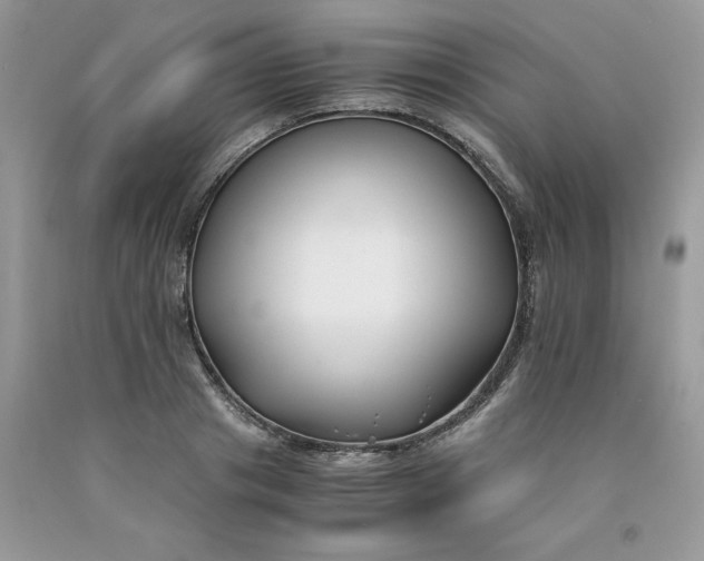 X0000091660841200709061019