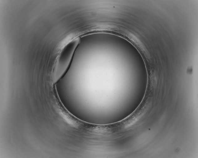 X0000091660842200709061019