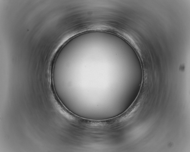 X0000091660843200709061019