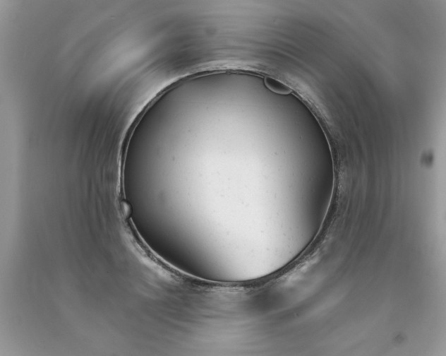 X0000091660844200709061019