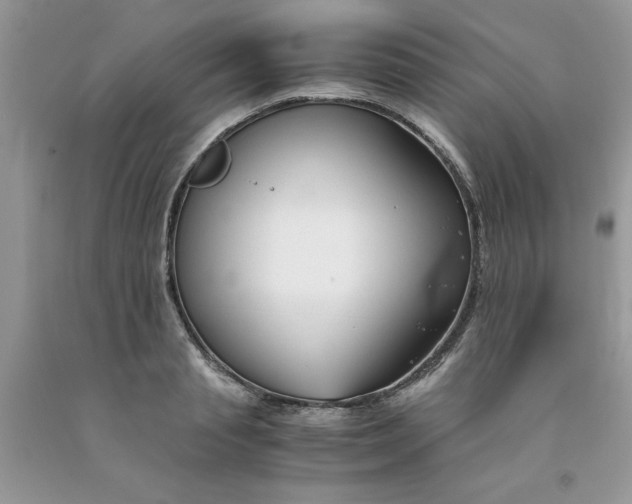 X0000091660845200709061019