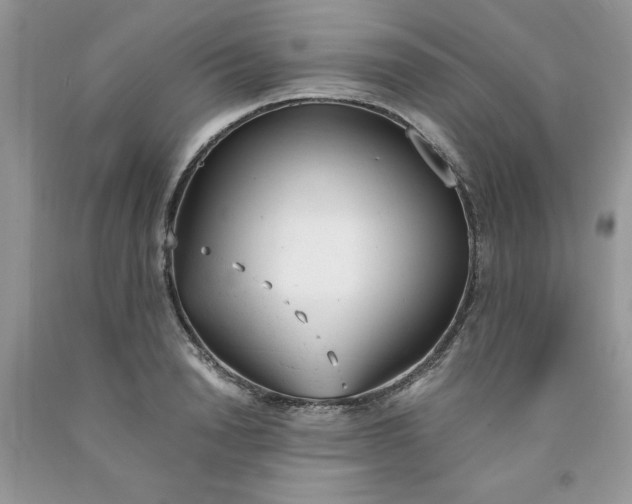 X0000091660846200709061019