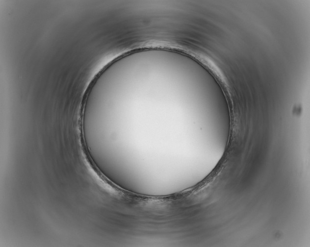 X0000091660847200709061019