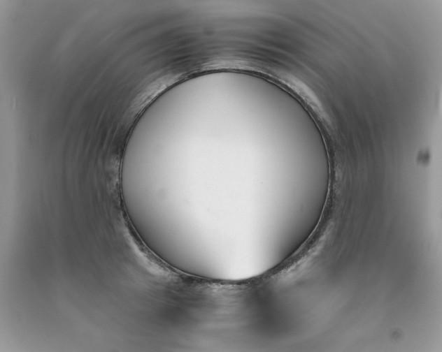 X0000091660849200709061019