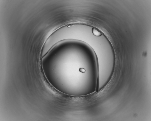 X0000091660850200709061019