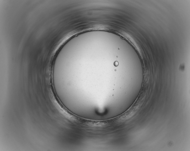 X0000091660851200709061019