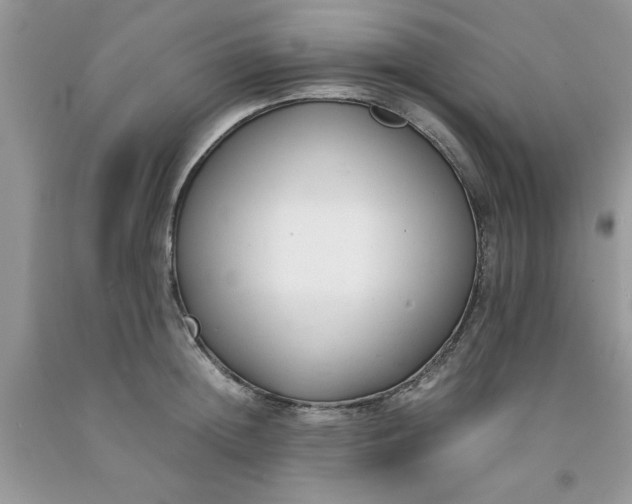 X0000091660852200709061019