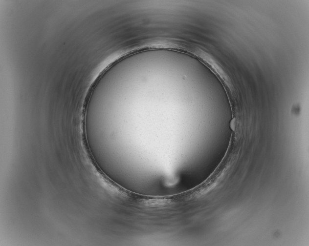 X0000091660853200709061019