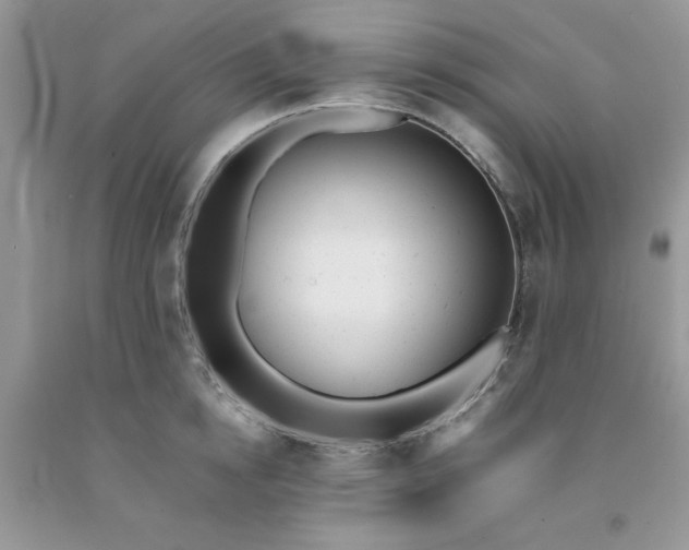 X0000091660854200709061019