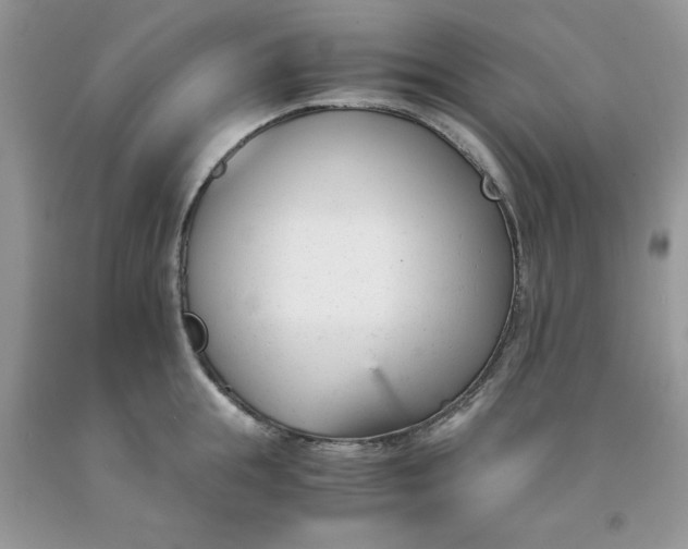 X0000091660855200709061019