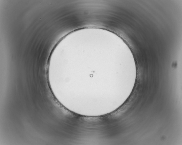 X0000091660856200709061019