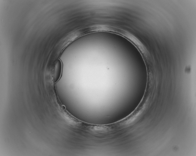 X0000091660857200709061019