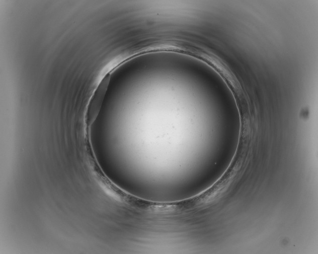 X0000091660858200709061019