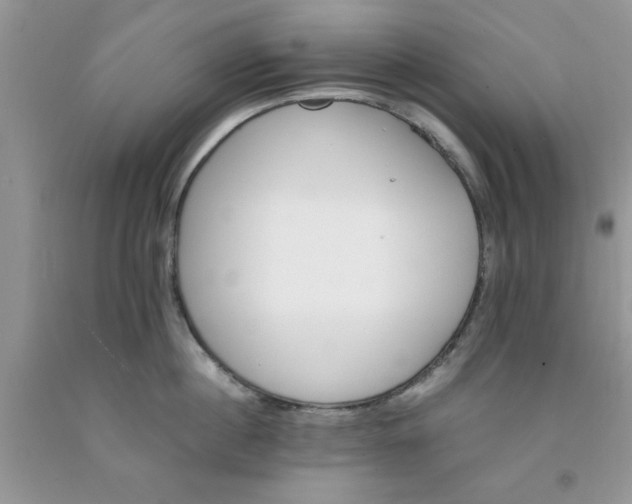 X0000091660860200709061019