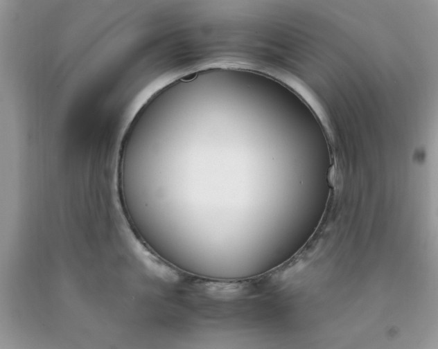 X0000091660861200709061019