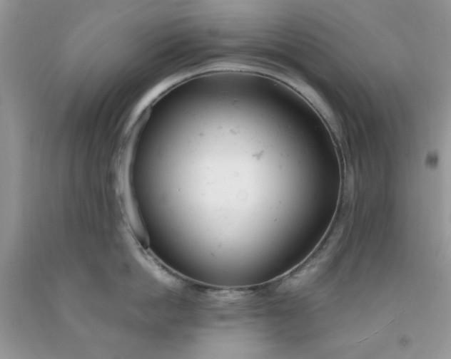 X0000091660862200709061019