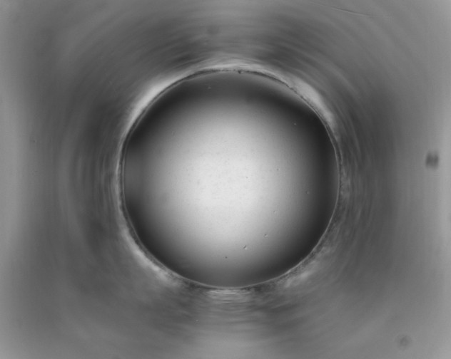 X0000091660863200709061019