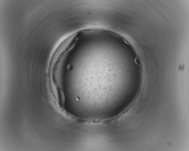 X0000091660864200709061019