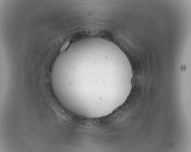 X0000091660865200709061018