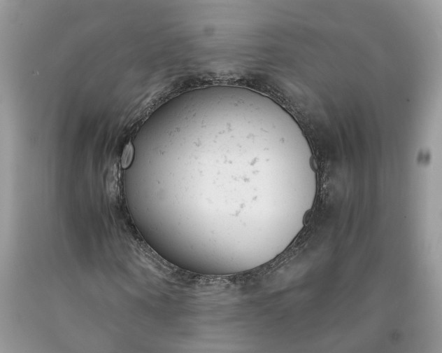 X0000091660866200709061018