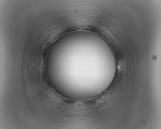 X0000091660867200709061018