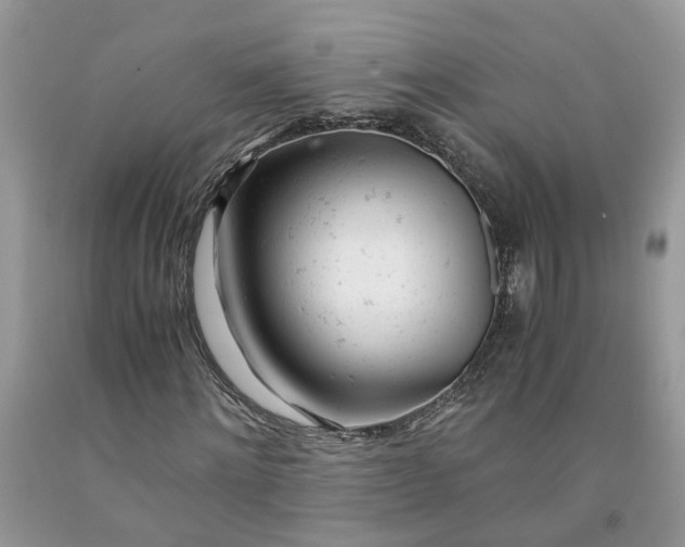 X0000091660868200709061018